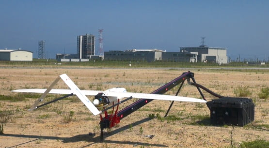 PenguinC（ラトビア製）